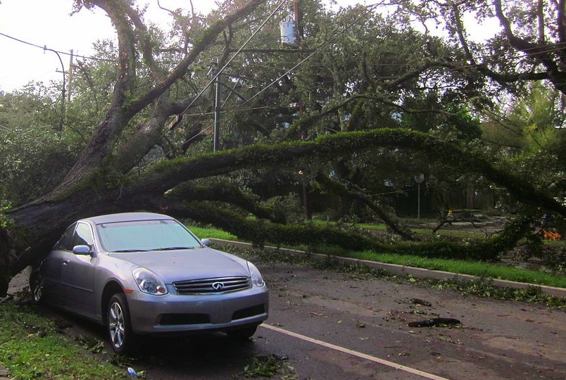 l'albero caduto che blocca l'auto rende il ritiro del veicolo difficoltoso